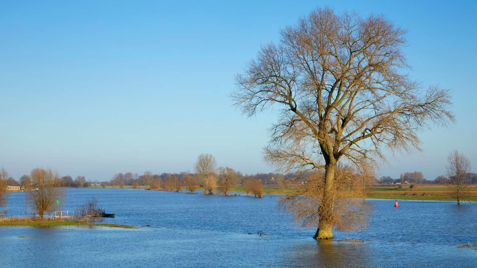 Een overstroomd landschap