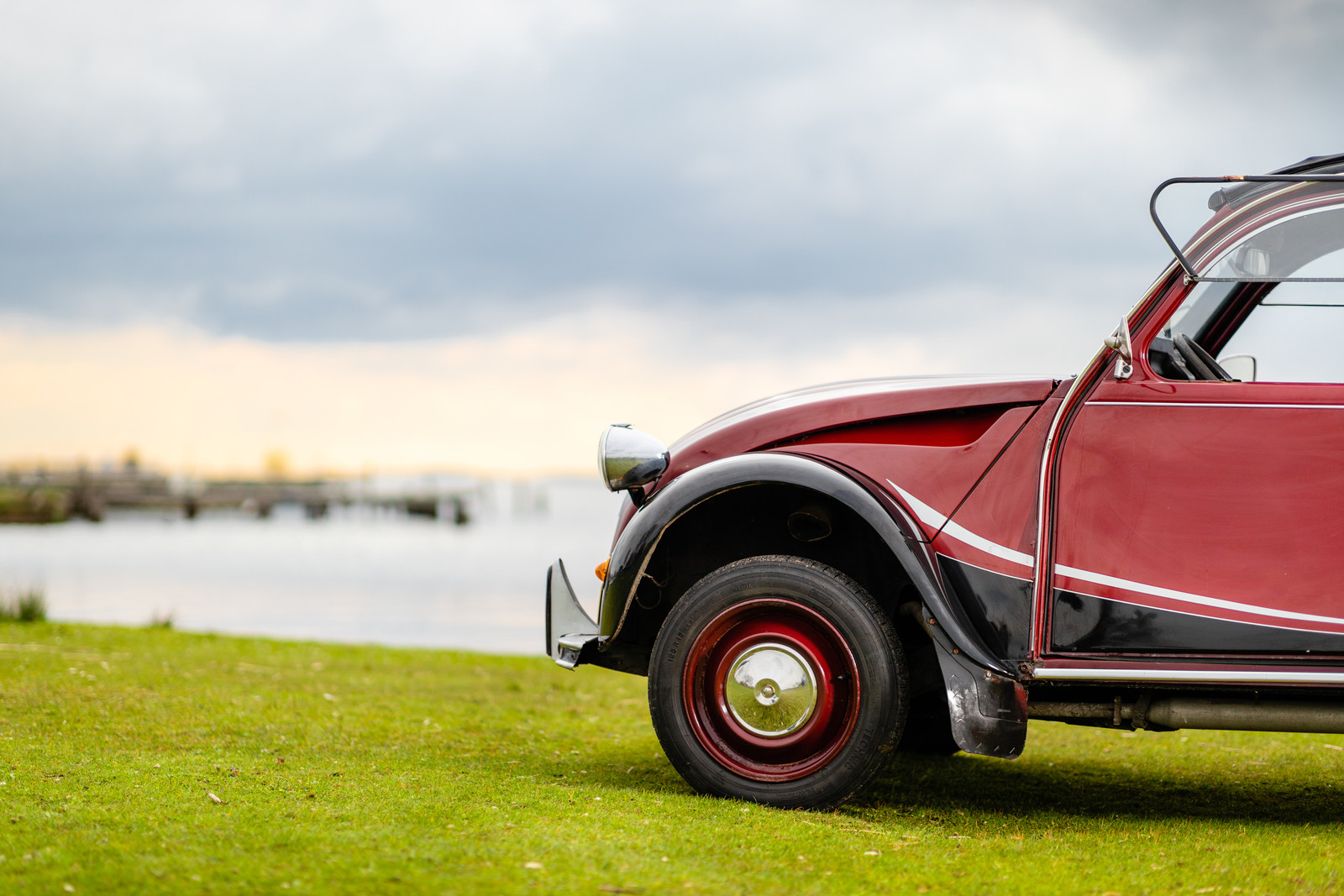 Lelijke eend op het gras