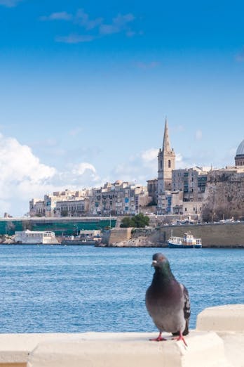 vakantie op Malta eindigt in ziekenhuis
