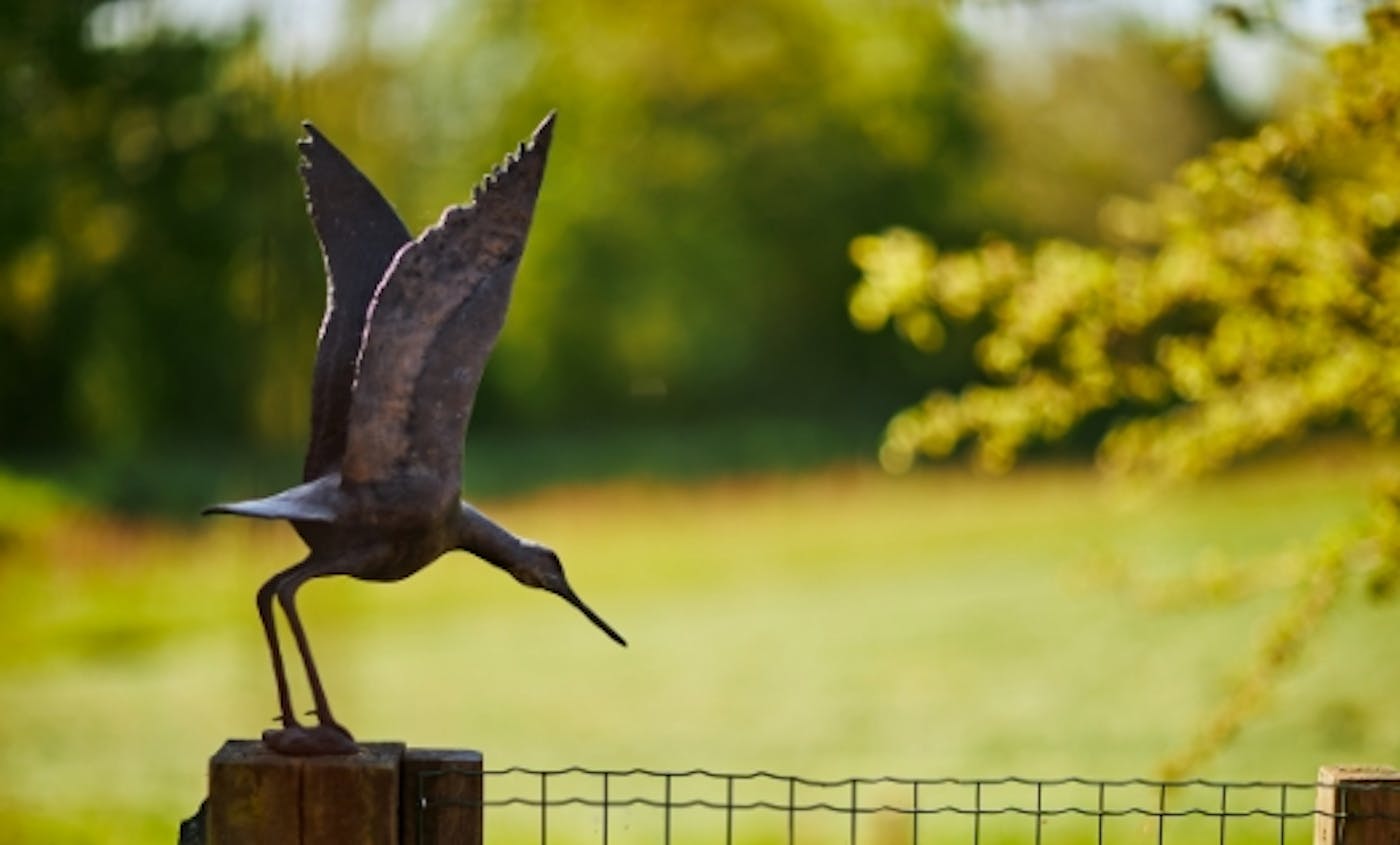 Bronzen beeld van vogel