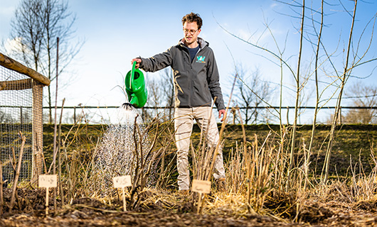 Christiaan geeft de fruitbomen water