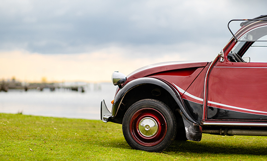 zijaanzicht van Pieters Lelijke Eend