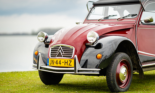 Pieters Lelijke Eend