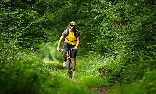 Een fietser fietst op een smal paadje door het bos